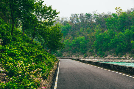 Empty asphalt road winding through a lush green forest with trees and hills under natural daylight,...