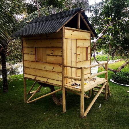 thee green beach home summer nature funのeditorial素材