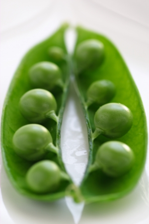 Greenpeace lined up in the podの写真素材