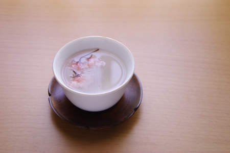 Infusion of salted cherry-blossomsの写真素材