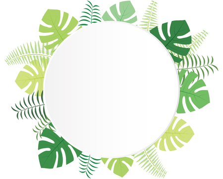 Monstera and palm leaf backgroundsのイラスト素材