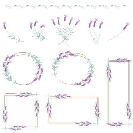 Illustration set with lavender ruled lines and frames.のイラスト素材