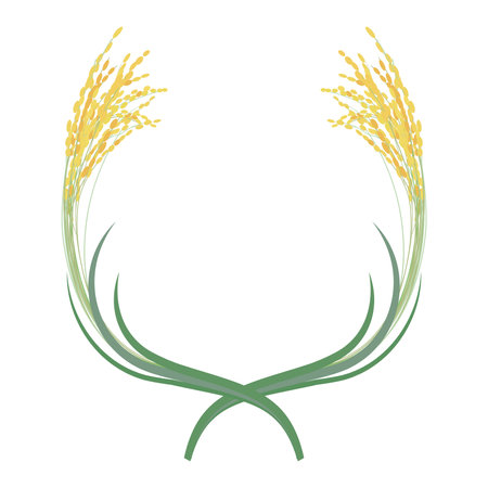 Vector illustration of a design of two crossed ears of rice.のイラスト素材