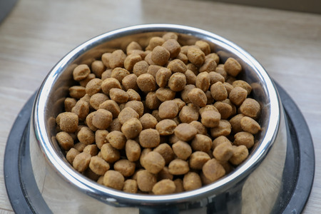 Accessories and food for a dogの写真素材