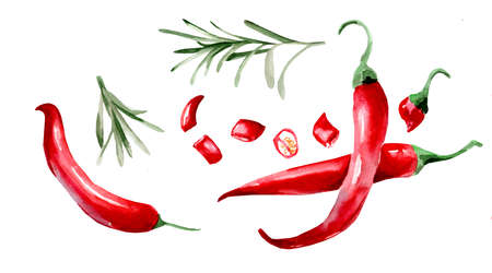 watercolor drawing of chili peppers on white backgroundの写真素材
