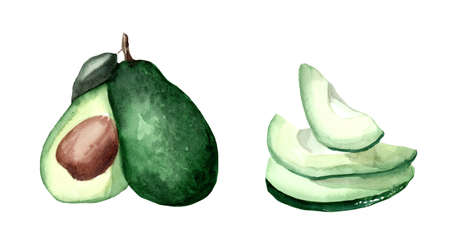 Watercolor drawing of an avocado on a white background