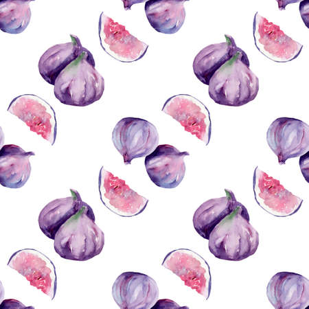 Watercolor pattern with figs on white backgroundの写真素材