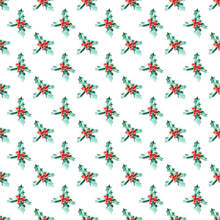 watercolor drawing of christmas plant on white backgroundの写真素材