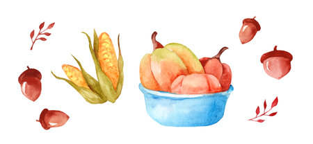 Autumn harvest set. Collection of ripe delicious vegetables, fallen leaves, acorns isolated on white background. Pumpkins, corn, acorns. Colorful watercolor illustrationsの写真素材