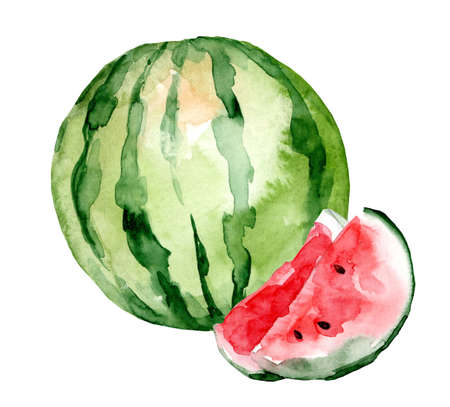 Hand drawn watercolor painting isolated on white background. hand drawn fruit watermelon illustrationの写真素材
