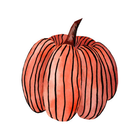 Watercolor orange striped Halloween pumpkin. Autumn decor of a farmhouseの写真素材