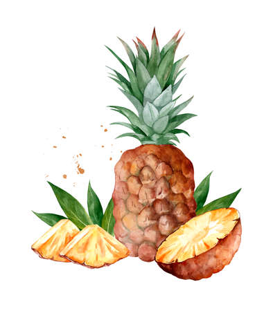 Pineapple with slice. Watercolor hand drawn illustration, isolated on white backgroundの写真素材