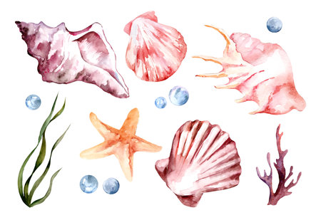 Shells, starfish, corals, algae isolated on white background. Set of watercolor illustrations. Vacation, summer, seaの写真素材