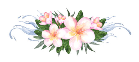 Composition of plumeria flowers. Frangipani and palm leaves isolated on white background. Watercolor botanical illustration for cosmetics and perfume packaging designの写真素材