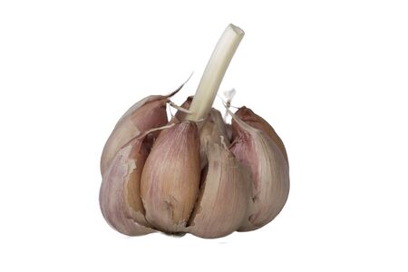 Garlic isolated on white background.の写真素材