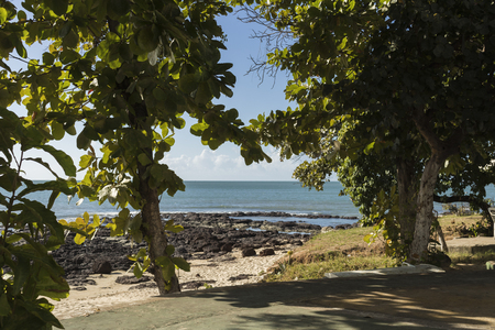 Fortaleza, CearÃ¡ - Brazil. Beira mar. Sea seen through the trees.の写真素材
