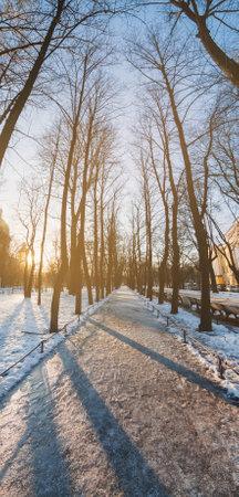 Sunlit snowy street. Panoramic view of the Alexander Garden in Saint Petersburg, Russiaの写真素材
