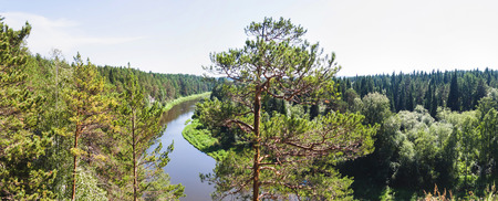 Russian nature. River viewed from a top of the hill with tall pine treesの写真素材