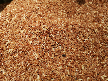 pink jasmine rice from the north of  Thailand, pink strain is a special strain that helps to boost energy, nourish the body and improve the body's blood circulation.の写真素材