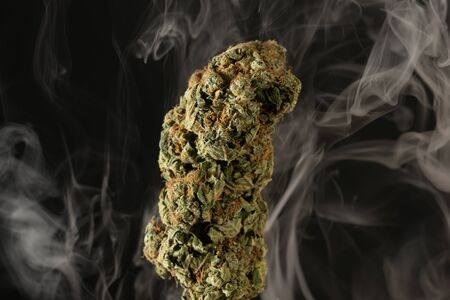 Closeup of green cannabis bud smoke as drug concept isolated on black background