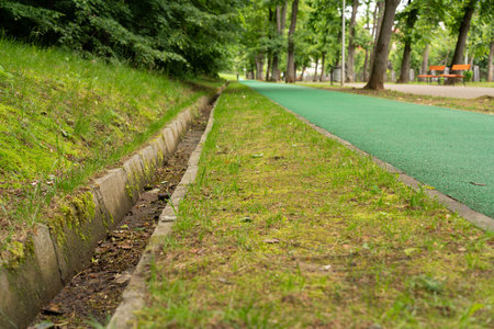 Green summer or autumn fall nature concept grass path and jogging lane in town park with trees