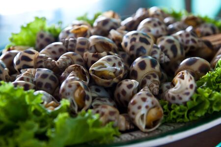 grilled sea snailの写真素材