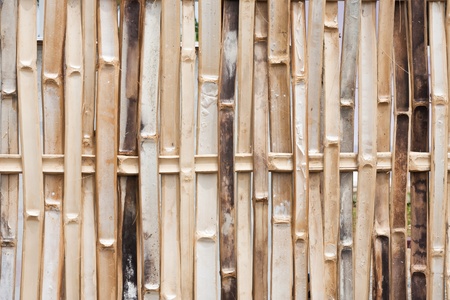 Bamboo wallの写真素材