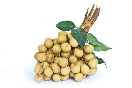 longan on white background