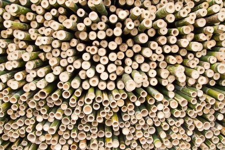 Cross section of bamboo surfaceの写真素材