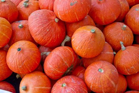 Pumpkinsの写真素材