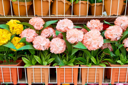 Colorful paper flower on shelvesの写真素材