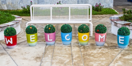 Colorful welcome flower potの写真素材