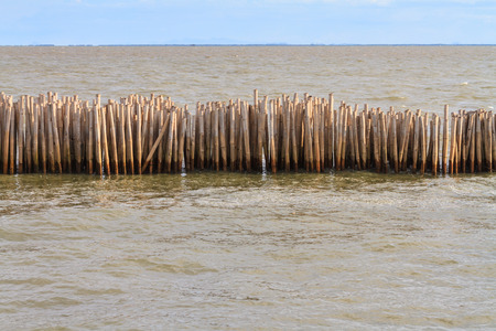 Bamboo breakwater の写真素材