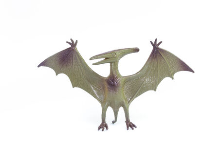 Pterosaurs dinosaur toy isolated on whiteの写真素材