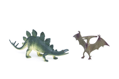 Pterosaur and Stegosaurus dinosaur toy on white backgroundの写真素材