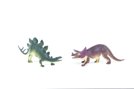Triceratops and Stegosaurus dinosaur toy on white backgroundの写真素材