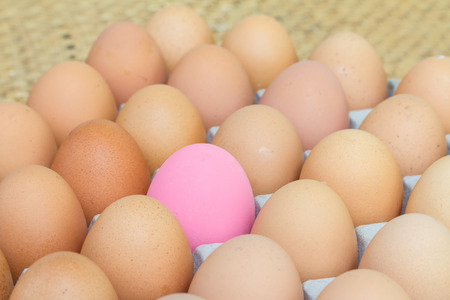 Eggs in paper package