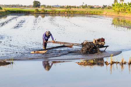 Farmer using walking tractor for  rice plantation in Thailandの写真素材