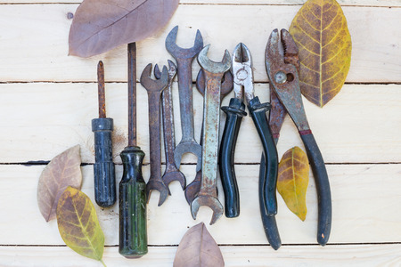Tools and dried leaves on wooden background