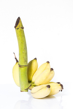 cultivated banana on white backgroundの写真素材