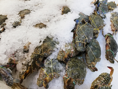 Crabs on cool ice in super market for sale in supermarketの写真素材