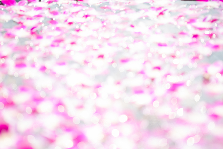 Blurry bokeh of light reflection on water surface with orchid flowerの写真素材