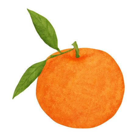 Orange watercolor isolated on white background. Hand-drawn illustration.のイラスト素材