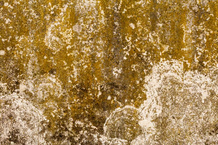 Stone Texture Background