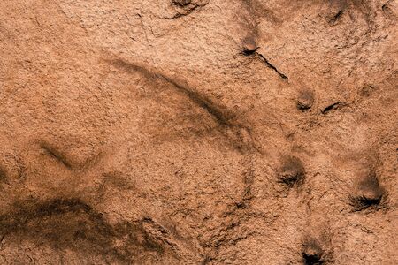 Stone Texture Background