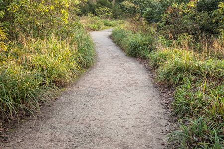 Park Footpath