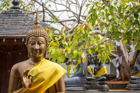 Theravada Buddhism is backbone of the Sri lankan culture. This is a theravada temple. Which contains...
