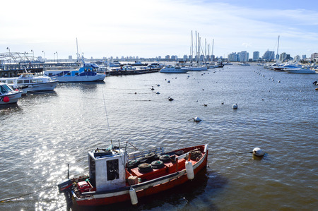 Boats and yachts moored in the port of Punta del Esteのeditorial素材