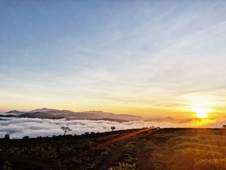 Sunrise in Cau Dat Farm, one of famous farm tea in Vietnamの写真素材