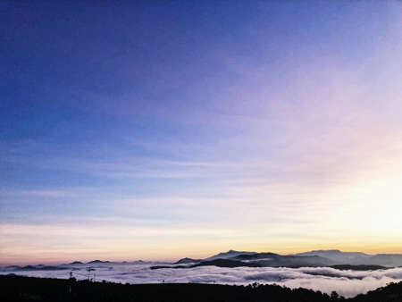 Purple sunset in Cau Dat Farm, one of famous farm tea in Vietnamの写真素材